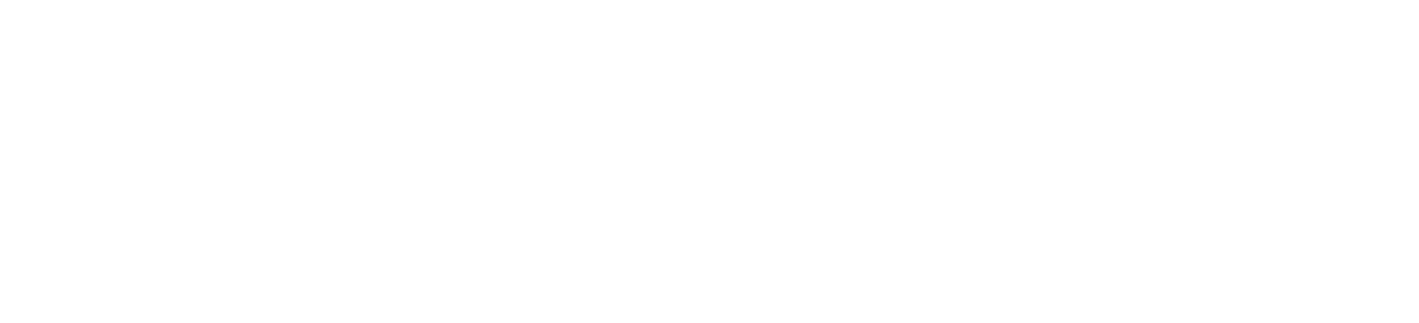 SoftDefend Bilgi Teknolojileri